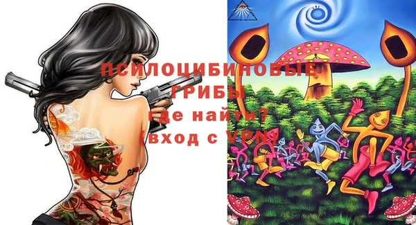 МДПВ Пролетарск