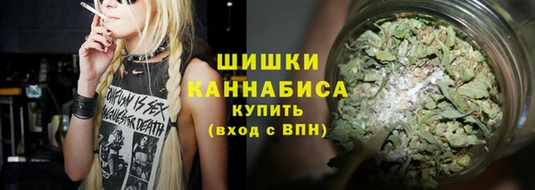 МДПВ Протвино